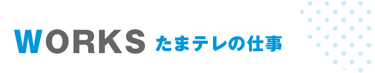 WORKS たまテレの仕事