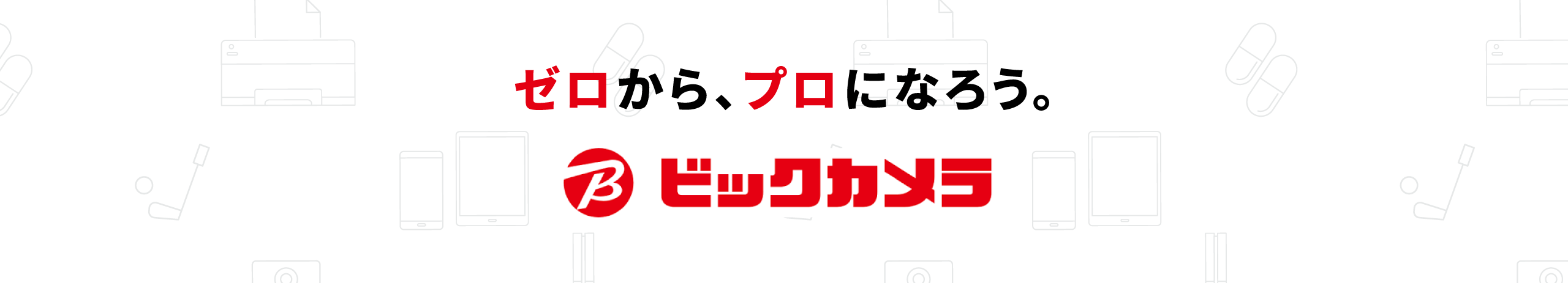 株式会社ビックカメラ