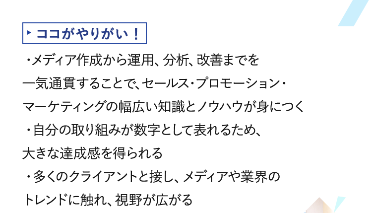 ココがやりがい！