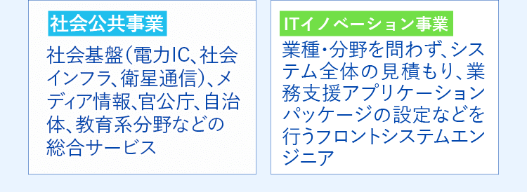 社会公共事業 / ITイノベーション事業