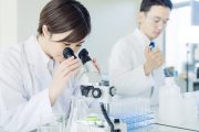 研究をする学生