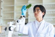 実験をする学生