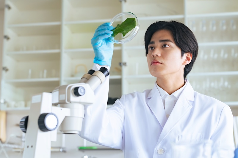 実験をする学生